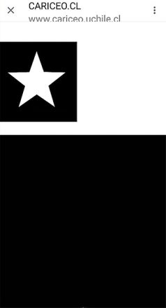 El milagro de Chile 2