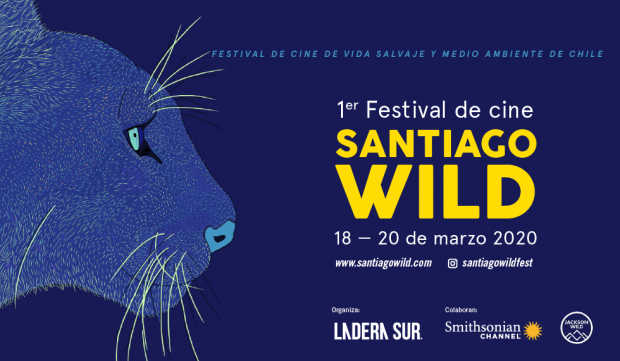 Festival Santiago Wild 1