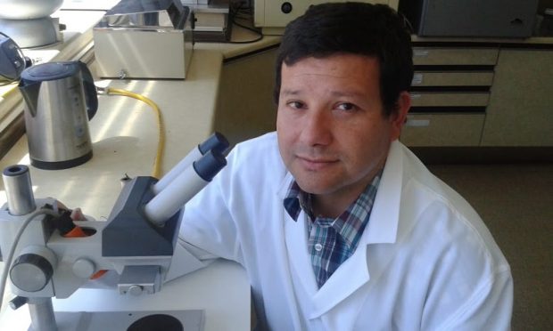 El doctor Rodrigo Cruz Micólogo Médico y Ambiental, Magister en Infecciones y Epidemiología Hospitalaria, Médico Infectólogo Hospital Carlos Van Buren de Valparaíso, Médico UCI Hospital IST de Viña del Mar. Foto: Universidad de Valparaíso.