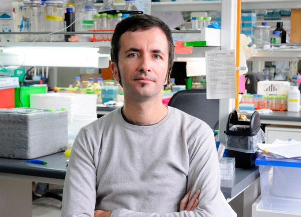 Dr. Claudio Hetz