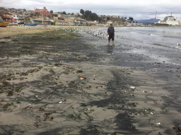 Quintero contaminación