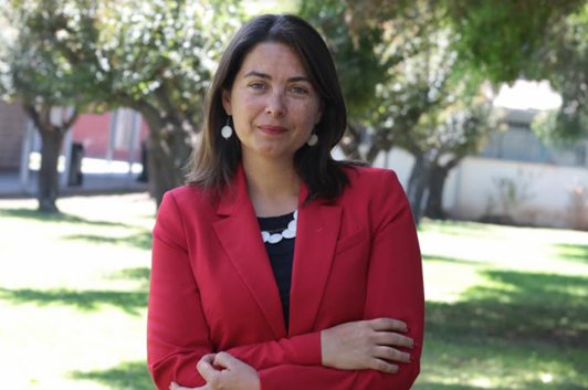 En la imagen, Lucía Dammert.