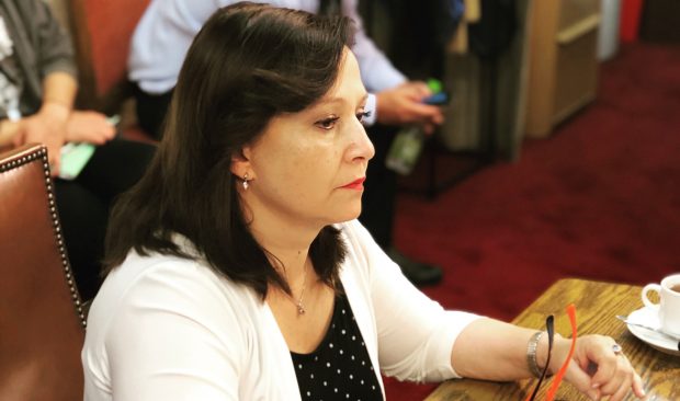 MARCELA-HERNANDO-DIPUTADA