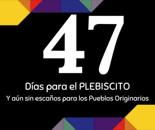 escaños reservados plebiscito