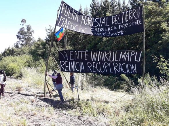 En el año 2005 la comunidad mapuche Wente Winkul Mapu inició su proceso de recuperación territorial en la comuna de Ercilla. Foto: Archivo.