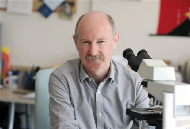 Neurobiólogo Rafael Yuste