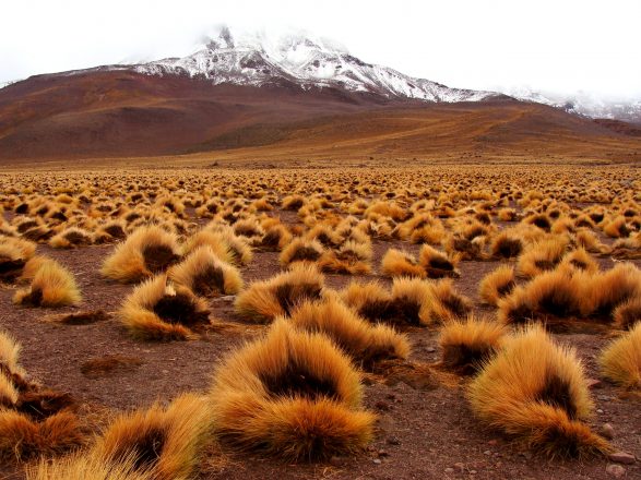 Desierto de Atacama