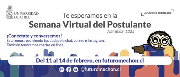 Mechón