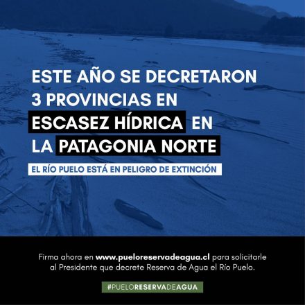 Puelo patagonia
