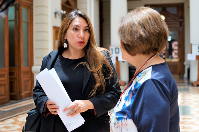 La abogada Mariela Santana. Foto: @DDHHRegionMaule.
