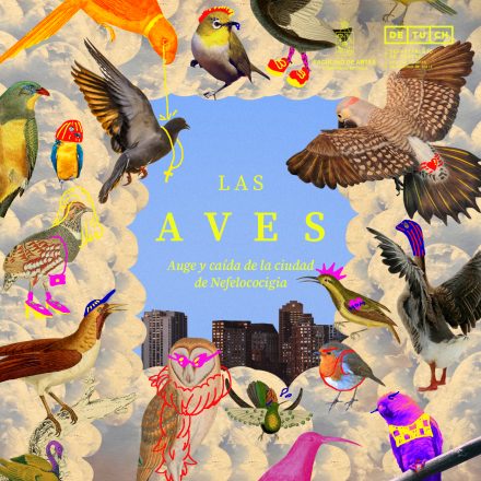 02_las aves_cuadrado (2)
