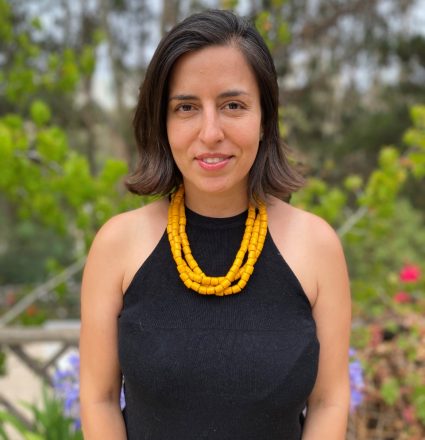 Javiera Calisto explicó a Radio y Diario Universidad de Chile que "subsanar Dominga, la verdad es que no es posible porque es contraria a toda la institucionalidad”