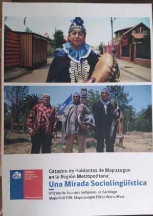 catastro lengua mapuche