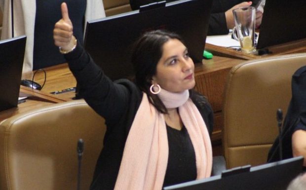 La diputada del Partido Comunista por el 5° Distrito de la Región de Coquimbo, Nathalie Castillo.