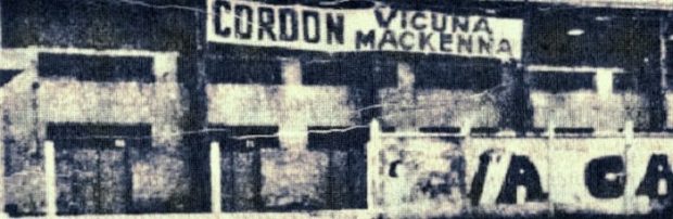 cordon_vicuna