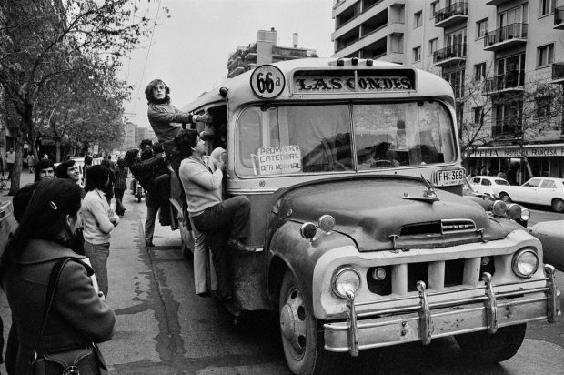 La foto con la que comenzó todo. Créditos: Chas Gerretsen.