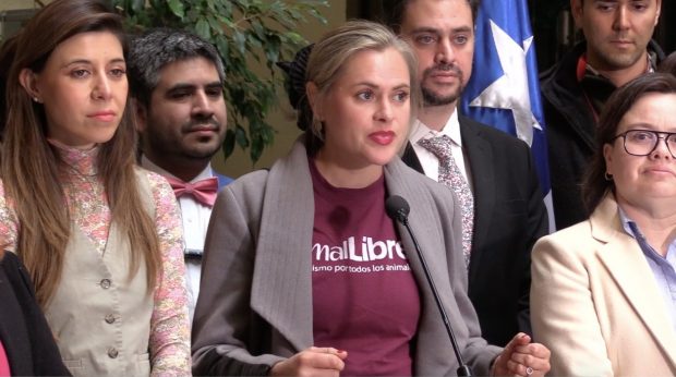Eliana Albasetti, integrante de la ONG Animal Libre y fundadora de Santuario Empatía.