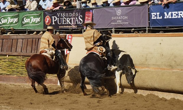 Final del Campeonato Nacional de Rodeo 2022.