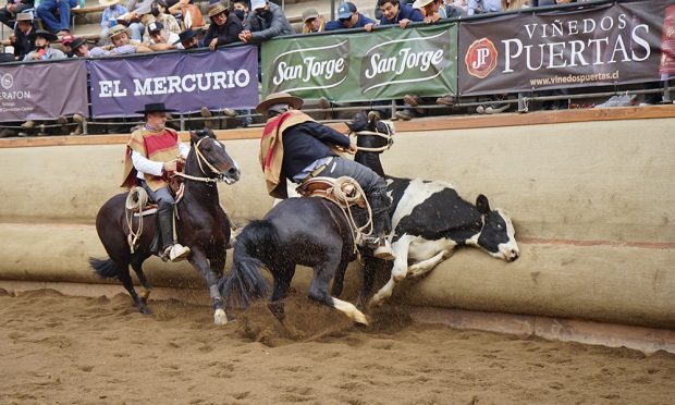 Final del Campeonato Nacional de Rodeo 2022.