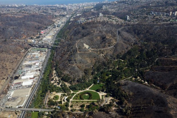 incendio forestal