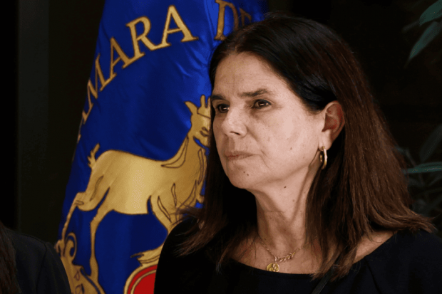 Diputada Ximena Ossandon.