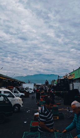 Mercado Lo Valledor. Imagen: Camilo Vega.