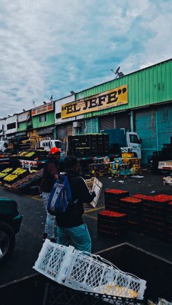 Mercado Lo Valledor. Imagen: Camilo Vega.
