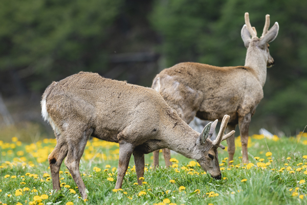 Foto: Benjamin Valenzuela 