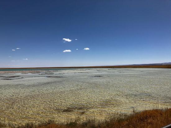Laguna Cejar