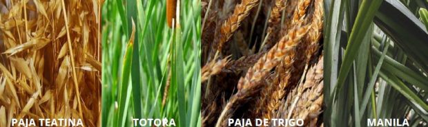 FIBRAS VEGETALES