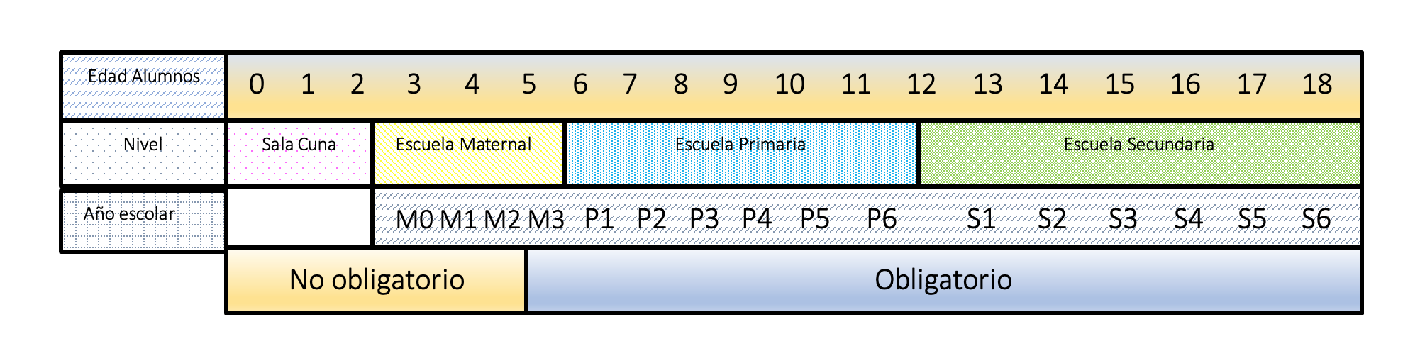 gráfica columna