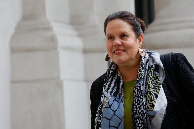 Ministra de Defensa, Maya Fernández. 