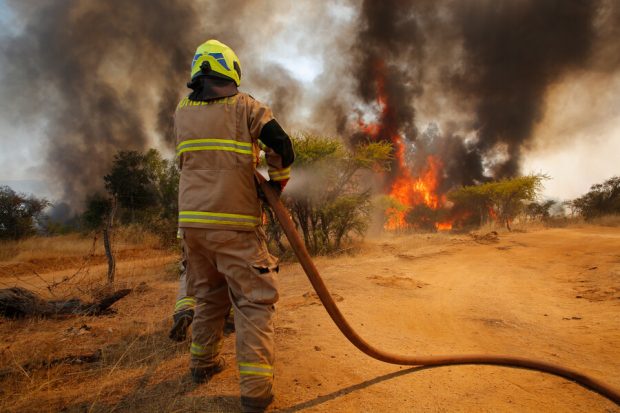 Bomberos combaten Incendio forestal en Ninhue norte