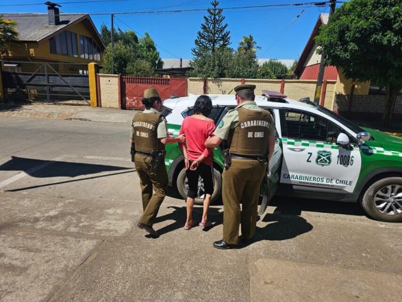 Detienen a mujer por quemar mediagua e iniciar incendio forestal en Traiguén.