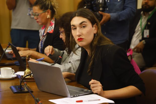 Diputada Emilia Schneider