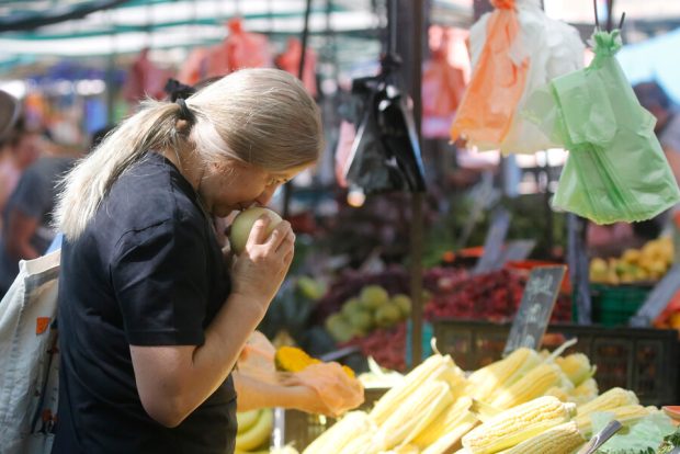 Mujer revisa puesto de choclos en la feria.