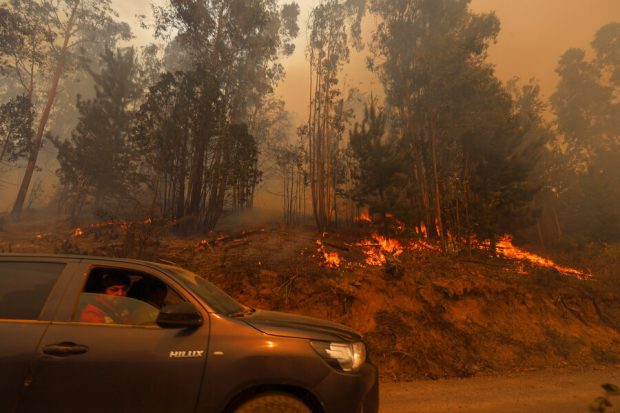 Incendio consumiendo un bosque.