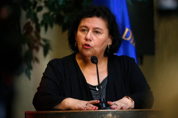 Punto de prensa de la diputada Lorena Pizarro.