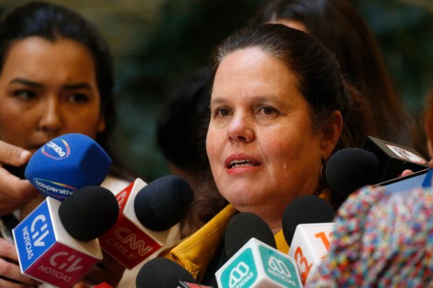 Ministra de Defensa, Maya Fernández, en un punto de prensa.