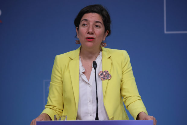 Vocera (s) de Gobierno, Aisén Etcheverry