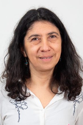 Alejandra Mohor, investigadora del Centro de Estudios en Seguridad Ciudadana de la Universidad de Chile (CESC)