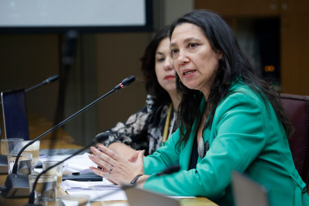 La ministra de la Segpres, Macarena Lobos, participa de la Comisión de Constitución del Senado.