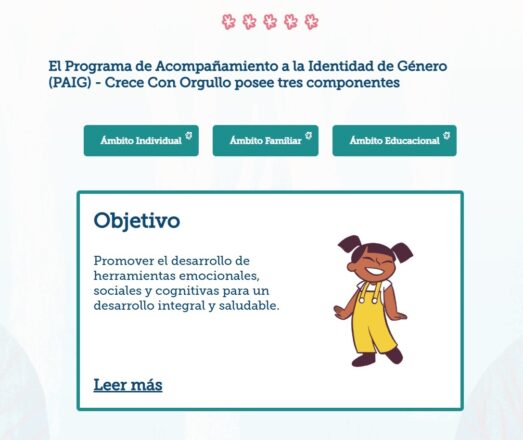 Captura de pantalla a página web PAIG.