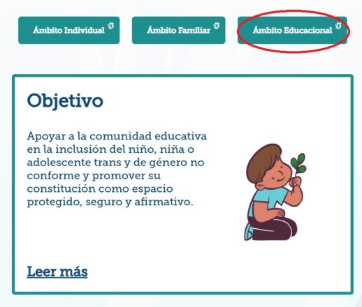 Captura de pantalla a página web PAIG.