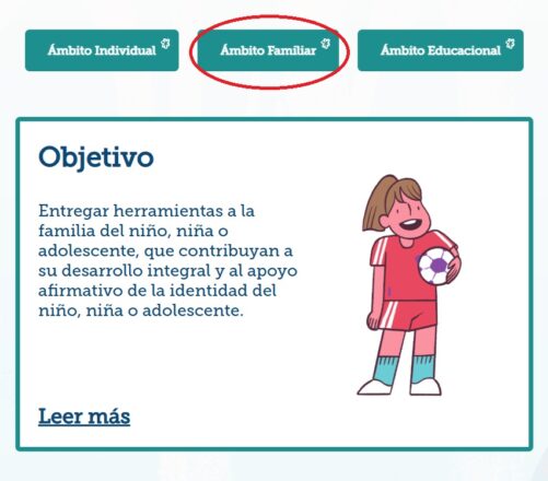 Captura de pantalla a página web PAIG..
