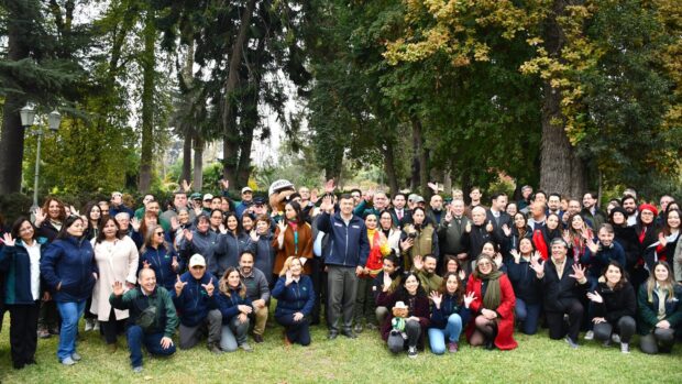 Gobierno promulga ley que crea el nuevo Servicio Nacional Forestal