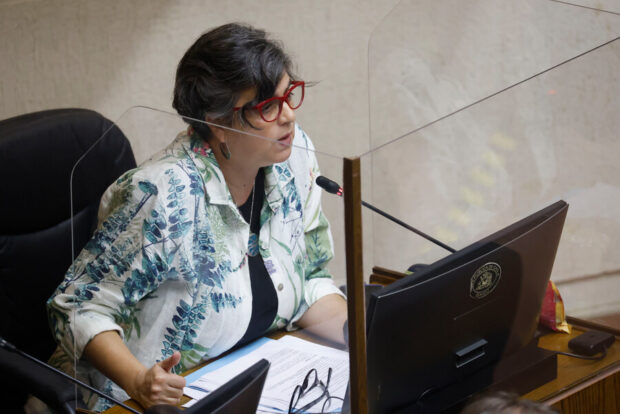 Claudia Pascual durante una intervención en el Senado. El parlamentario esta sentado en un escritorio lleno de papeles mientras habla.