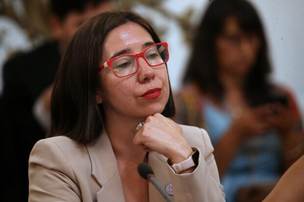 Diputada del Frente Amplio y presidenta de la Bancada Climática.