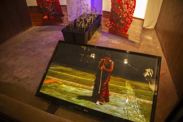 Muestra “Sembrar en la matriz” de la artista Paula Coñoepan.