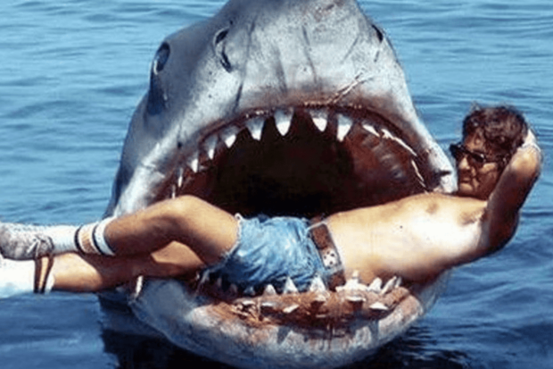"Tiburón", película de Steven Spielberg
